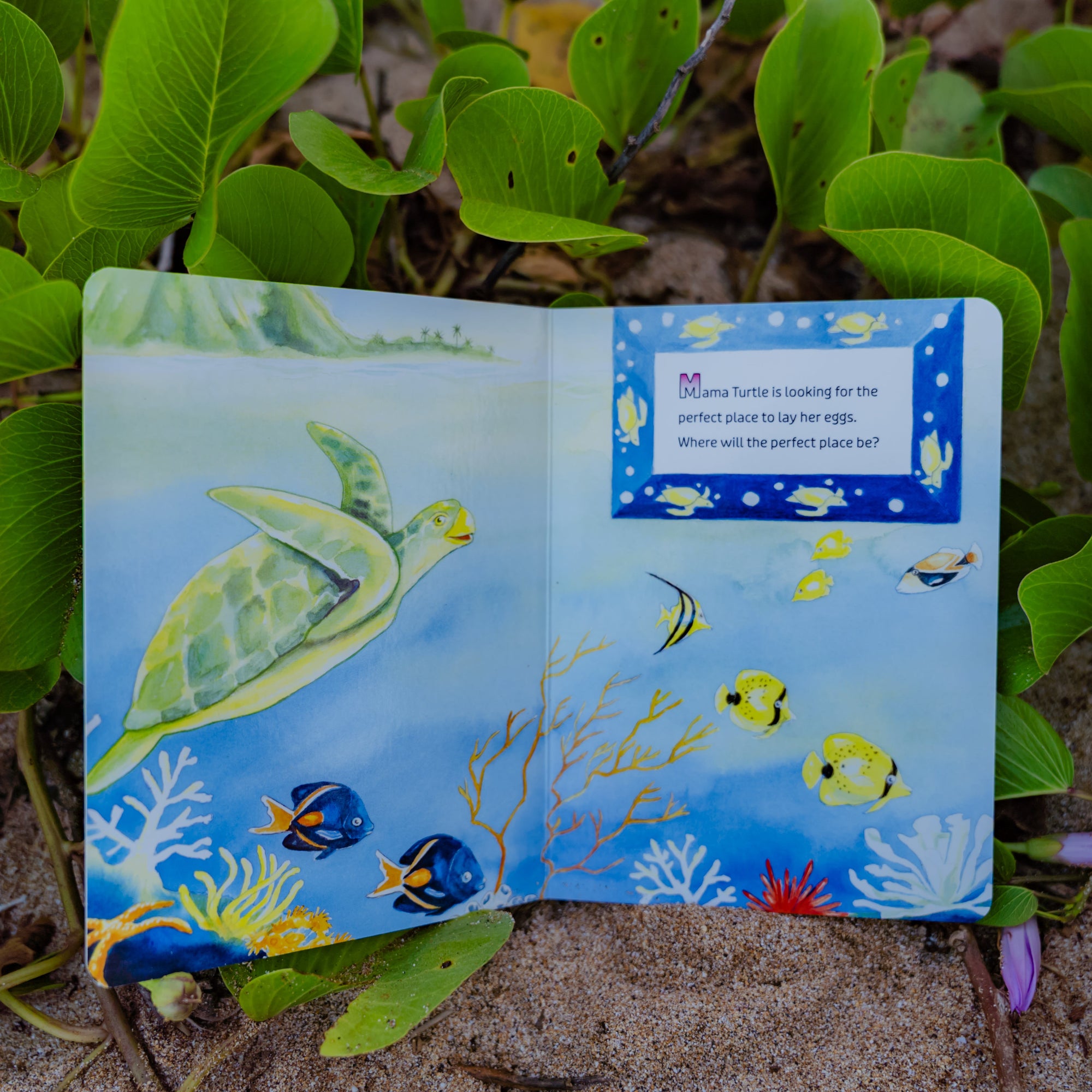 'Mama Turtle's Eggs' is a board book about a Mama turtle looking for the perfect place to lay her eggs.
